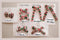 Apple Harvest | sweater bows