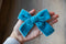 Sea Salt | Velvet Bows