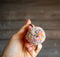 Surprise 1.25” Pastel Pom Poms
