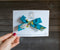 Rainbow Trout | Bows
