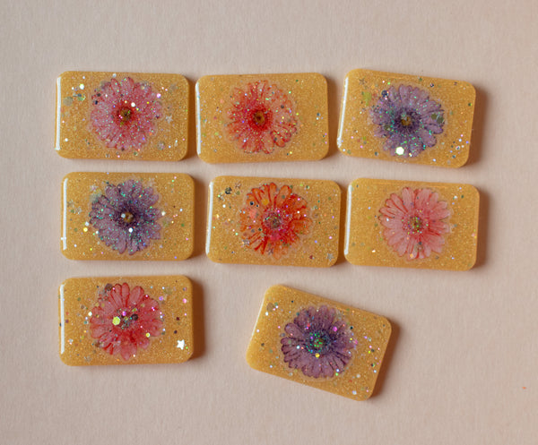Colorful Daisy | Clips