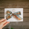 Ida | Bows