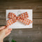 Scarecrow Gingham | Bows