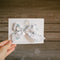 I can and I will | Bows